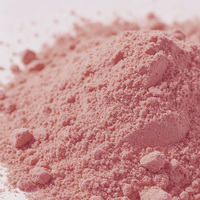 Poudre de fruits 100% naturelle, poudre instantanée de cerise aiguille, poudre de fruits soluble dans l'eau, stock d'usine disponible