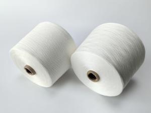 Fibre de fil de Polyester ignifuge de haute qualité 6S 40S anneau filé 6500 teneur en phosphore pour <span class=keywords><strong>la</strong></span> couture tissage tapis ignifuge - Product Image 3