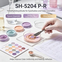 SH-5204P-R Bubuk Trimethylsiloxysilicate, Agen Peningkat SPF untuk Perawatan Kulit, Perawatan Matahari & Formulasi Kosmetik Berwarna