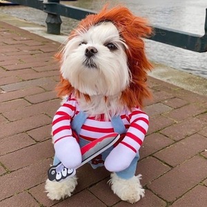 Productos de Atuendos Personalizados 2025 Lindo Disfraz de Halloween de Chucky para Mascotas Perro y Gato - Product Image 2