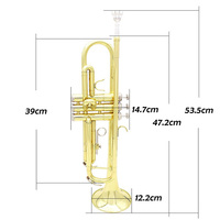 Wholesale Custom Brass Tone Gold Lacquer Professional Trumpet for Beginners