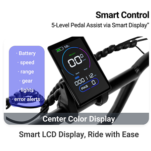 Vélo de montagne électrique GALAXY 500W 48V, 20 pouces, frein à disque hydraulique, 9 vitesses, vélo de montagne électrique en alliage pour hommes - Product Image 3