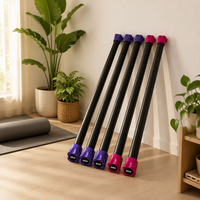 Barre d'entraînement lestée en fonte et acier pour la musculation - Poids libres pour la maison (1kg-10kg)