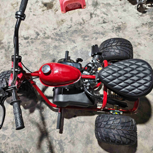 Go Kart pour Adultes 250 Cc Vorwarts-ruckwarts Getriebe Suspension à jambes de force avant qui ont des costumes Mini Drift Trike - Product Image 1