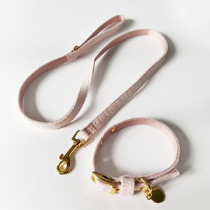 Conjunto de Correa y <span class=keywords><strong>Collar</strong></span> para Perro Personalizado de Moda en Algodón y Lana para Perros - Entrenamiento y Uso en Exteriores - Product Image 4