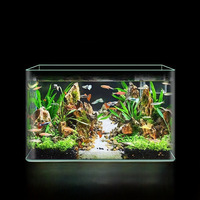 Aquarium Moderne pour Salon, Sans Cadre, Courbé, Petit, Ultra-transparent, en Plastique Acrylique Durable et Écologique