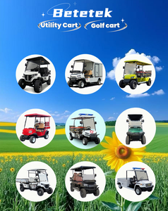 Chariot de lutte contre les incendies d'urgence, chariot utilitaire pour pompe à incendie, camion de pompiers, voiture de patrouille, voiturette de golf, certifié CE pour les routes non publiques - Product Image 6