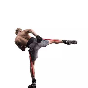 Ensemble de bandes de résistance pour le fitness avec harnais réglable, sangles élastiques durables pour la musculation à domicile, entraînement de force, développement <span class=keywords><strong>musculaire</strong></span> - Product Image 3