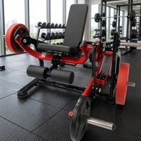 Machine d'extension des jambes assise à charge réglable de qualité commerciale pour la musculation en salle de sport et le développement des quadriceps