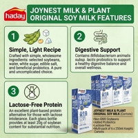 Lait de soja sain Haday sans additifs, commande en gros OEM, lait de soja protéiné végétal pour la revente, haute valeur nutritive, délicieux