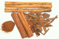 Huile d'écorce de cannelle antibactérienne de qualité supérieure 100% huile essentielle naturelle à base de plantes pour les soins personnels et le diffuseur pur