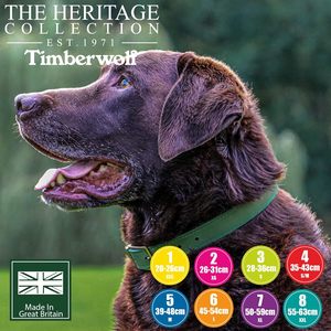 Collar de Cuero Ancol Timberwolf para Perros, Verde, Talla 3 (28-36 cm) - Product Image 3