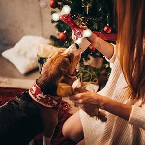 UliLink Langlebiges Nylon-Hundespielzeug mit Hühnergeschmack, Unzerstörbar und Umweltfreundlich, 100g für Starke Kauer und Große Hunde - Product Image 6