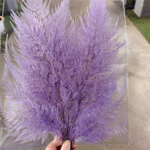 Букет из вечных цветов «Снежинка-Папоротник», элитный букет из натуральных цветов, материал для DIY, украшение на день рождения, подарочная коробка, стеклянная крышка, Китай, легкий - Product Image 4