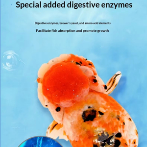 Nourriture pour poissons SUNSUN <span class=keywords><strong>Ranchu</strong></span> & Ryukin, 48% de protéines, riche en nutriments, oligo-éléments - Product Image 5