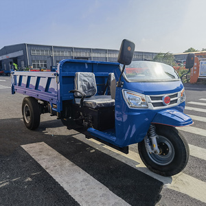 Tricycle diesel à 3 roues haute performance pour le transport de marchandises, le jardinage et l'agriculture, tricycle motorisé - Product Image 3