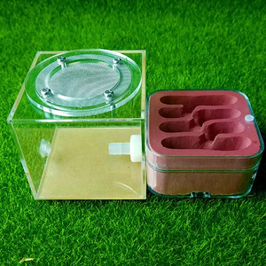 Formicarium in Acrilico Trasparente, Facile da Osservare, Casetta <span class=keywords><strong>per</strong></span> <span class=keywords><strong>Formiche</strong></span> <span class=keywords><strong>per</strong></span> Appassionati di <span class=keywords><strong>Formiche</strong></span> - Product Image 3