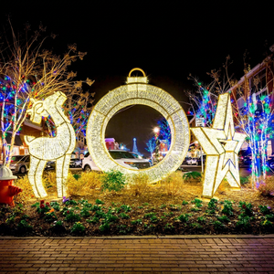 Custom Christmas LED Letter <b>Lights</b> IP65 Waterproof with <b>Wireless</b> Control for Outdoor Party Events - Product Image 1