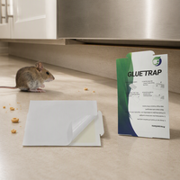 Piège à colle pour rats, plaque adhésive solide jetable sans pesticide, répulsif pour souris pour le contrôle des rongeurs domestiques