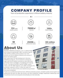 По индивидуальному заказу <span class=keywords><strong>12V</strong></span> 1.5ah <span class=keywords><strong>3Ah</strong></span> 4ah 4000 мА/ч, ICR18650 литий-ионная аккумуляторная батарея для детей возрастом от <span class=keywords><strong>12v</strong></span> дрель с 12,6 v AC зарядное устройство и BMS - Product Image 4