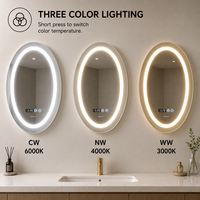 Miroir de salle de bain ovale intelligent à LED avec éclairage frontal, pour vanité, maquillage, salon, gradation progressive, 3 couleurs, anti-buée, Bluetooth