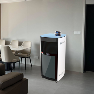 Moderna Stufa <span class=keywords><strong>a</strong></span> Biomassa in Acciaio per Interni <span class=keywords><strong>a</strong></span> Pellet di Legno per Villa <span class=keywords><strong>a</strong></span> Libera Installazione con Riscaldamento di Design - Product Image 3