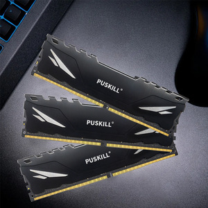 Módulo de Memoria Puskill DDR4 de 8GB y 2400MHz para Escritorio con Disipadores de Calor - Product Image 1