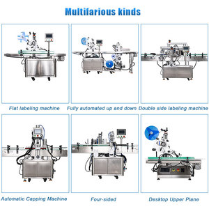 Máquina de llenado de líquidos multifuncional automática Alimentación de pistón Equipo de botella de vidrio de plástico Émbolo Bebidas de llenado por gravedad - Product Image 6