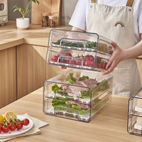 Boîte de rangement pour réfrigérateur en PET double couche, boîte de conservation des fruits et légumes en plastique pour la cuisine, bac à œufs de type tiroir