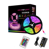 Bande lumineuse LED RGB SMD5050 de haute qualité, 60 LED, indice de protection IP68, télécommande Bluetooth/WiFi pour application paysagère