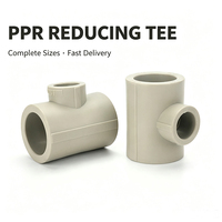 Raccord en T réducteur PPR OEM ODM pour soudure par fusion 25mm*20mm pour système d'eau de plomberie