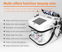 Venta caliente de Navidad 10in1 Microcurrent Hydra Water Peel Dermabrasion Máquina de belleza de limpieza facial