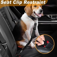 Accessoires pour chiens en gros : Laisse double de luxe en nylon pour dressage et course, idéale pour le teckel