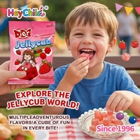 Bonbons en gros personnalisés sous marque privée, saveurs variées et audacieuses, bonbons gélifiés en cubes, goût fruité moelleux, paquets en boîte, friandises sucrées