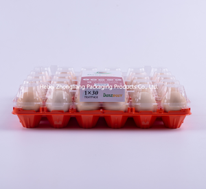 Plateau à œufs en <span class=keywords><strong>plastique</strong></span> PET 30 alvéoles <span class=keywords><strong>avec</strong></span> <span class=keywords><strong>couvercle</strong></span> transparent et base rouge orangé pour l'emballage des œufs de poule - Product Image 3