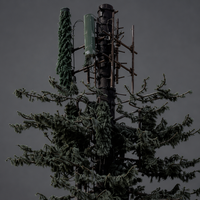 Torre de Telecomunicaciones Monopolar de Acero Angular Galvanizado en Caliente con Camuflaje de Árbol Perenne para Disimular Equipos Inalámbricos