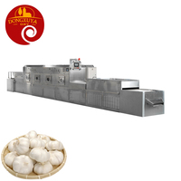 Poudre de piment Séchoir à micro-ondes Stérilisation Machine de séchage Épices industrielles Assaisonnement Poivre Continu Curcuma Rouge Automatique