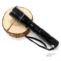 Lampe de poche portable haute luminosité BUZZARD 288, rechargeable, étanche, outil d'éclairage extérieur pour le camping, la randonnée, la pêche