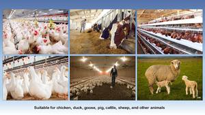 Suplemento Alimenticio Premium <span class=keywords><strong>de</strong></span> Ácido Ascórbico Vitamina C para Aves <span class=keywords><strong>de</strong></span> Corral Ganadería Acuicultura Crecimiento Reproducción Alivio del Estrés y Salud - Product Image 5