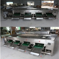 Machine de tri professionnelle pour fruits et agrumes, machine de classement des citrons