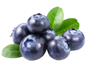 Longze avrupa yabanmersini meyve özü tozu antosiyanin yabanmersini özü - Product Image 3