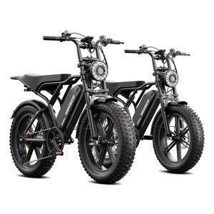 USA/EU-Lager Schneller Versand Original E-Bike Fatbike mit Breitreifen 750W Elektrofahrrad E-Rennrad für Erwachsene - Product Image 1