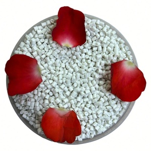 Granules de matière plastique PP PP Résine Masterbatch Film soufflé en usine Granules de plastique PP - Product Image 5