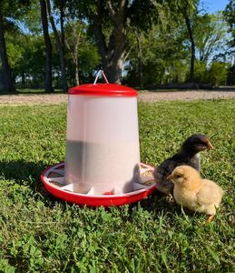 Tempat Makan dan Minum Unggas Besar 1.5kg hingga 12kg Merah Putih, Tempat Pakan Ayam Gantung, Ember Pakan Unggas - Product Image 2