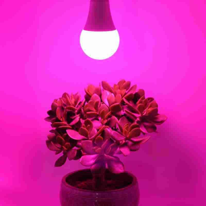 Luz LED de crecimiento para plantas de 14W, espectro completo, 3000K, IP55, ángulo de haz de 120°, para invernadero de <span class=keywords><strong>Pitahaya</strong></span>, fruta del dragón y cultivo de vegetales fuera de temporada - Product Image 2