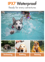 Hunde trainings halsband mit Fernbedienung und Piepton, Vibration, Schock modi
