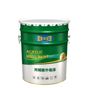 DS0008 Multi-Color Acrylic Wall Paint Liquid Coating Application With Brush