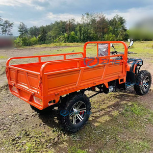 Personnalisation automatique <span class=keywords><strong>Mini</strong></span> Jeep Voiture adulte tout-terrain rue légale à vendre Buggy Véhicule utilitaire - Product Image 4