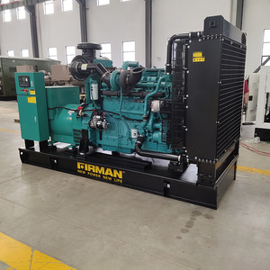 Groupe électrogène diesel Jiangsu Wantai 300 kW refroidi par eau 1500 tr/min 50 Hz régulation automatique de la tension - Product Image 2