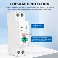Disjoncteur intelligent industriel Wi-Fi 1P 63A avec télécommande, minuterie, compteur d'énergie KWh, tension, courant, détection de fuite, en plastique